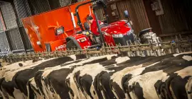 PROFILE 2 CS munka közben