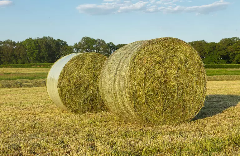 Binding round bales 