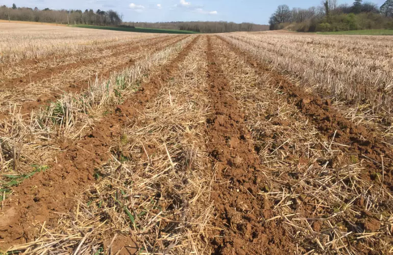 Sávos művelés agyagos talajon fotó