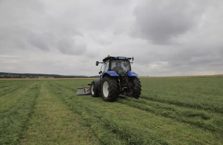 A rendet éppen a traktor két keréknyomvonala között képezi.