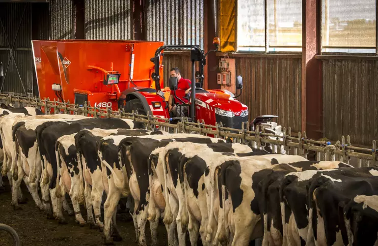 PROFILE 2 CS munka közben