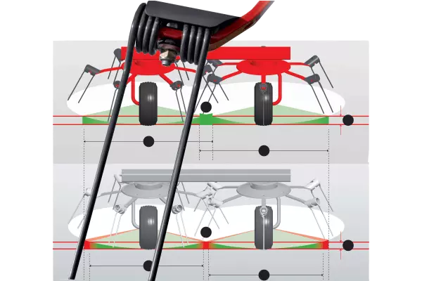 Az aszimmetrikus fogak esetében a fogak előbb érnek a terménybe