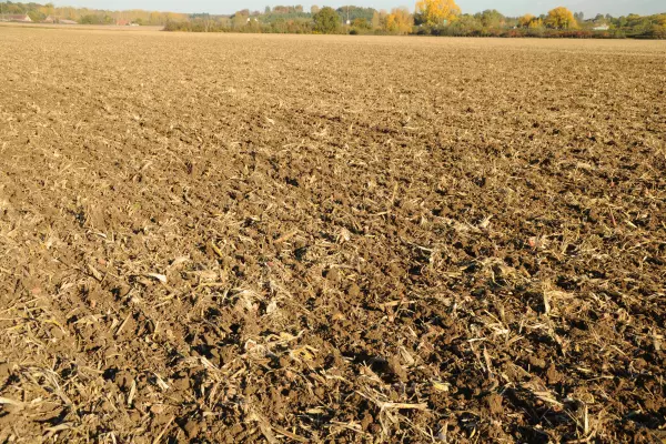 A PERFORMER működésének köszönhető homogén egyengető és visszatömörítő hatás a teljes munkaszélességben