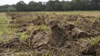 Imagen de suelo descompactado con el cultivador DT XL 300.