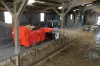 Pailleuse hacheuse distributrice KUHN PRIMOR 4260 M CUT CONTROL en mode paillage